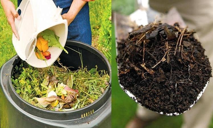 Cómo producir compost de manera sencilla