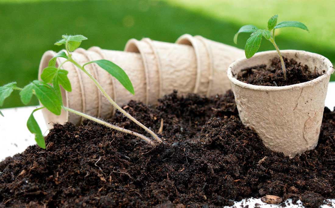 Haz tu propio sustrato para plantas