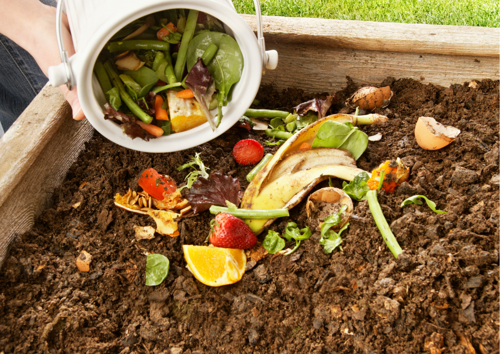 Elaboración de Abono Casero: Paso a Paso para un Jardín Más Saludable y Sostenible