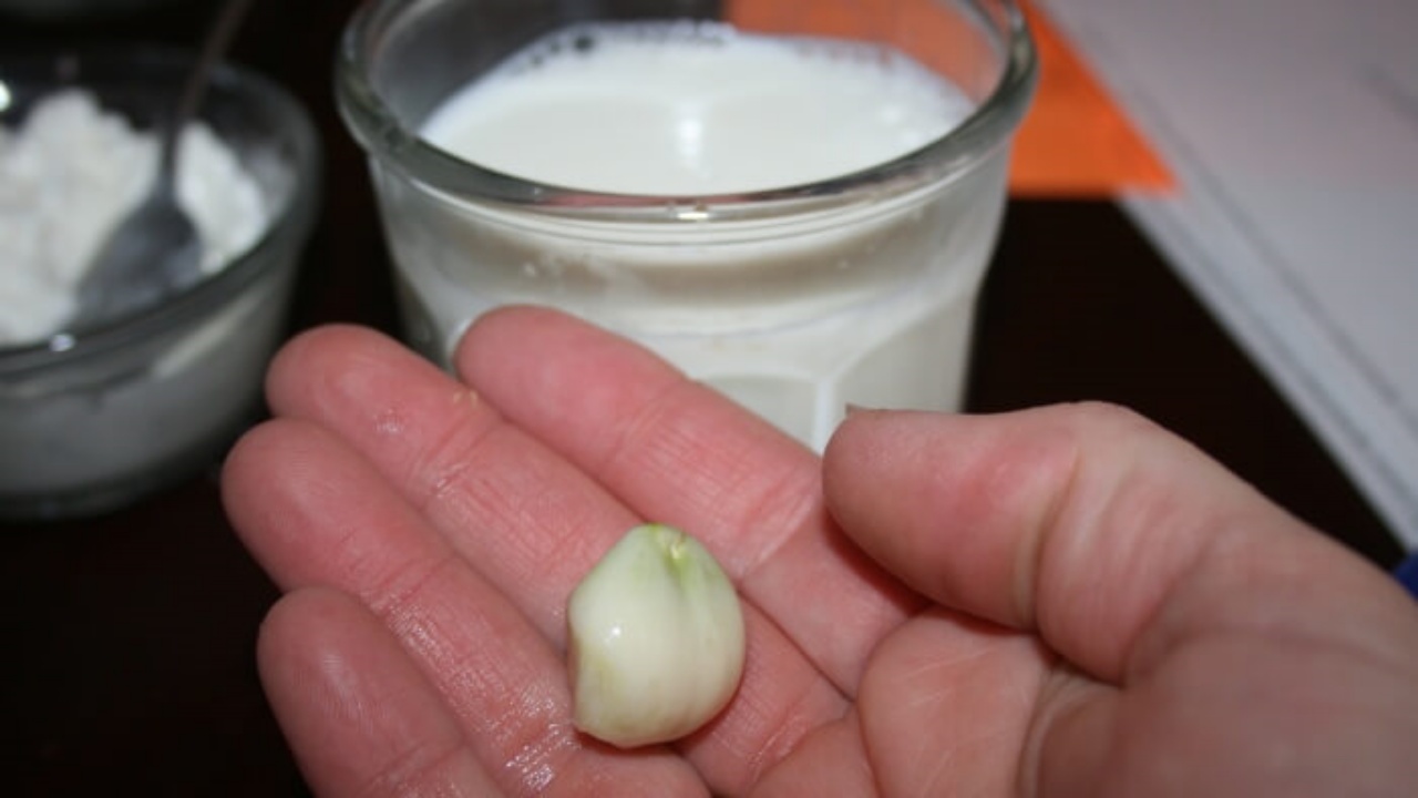 Los beneficios sorprendentes de beber leche con ajo