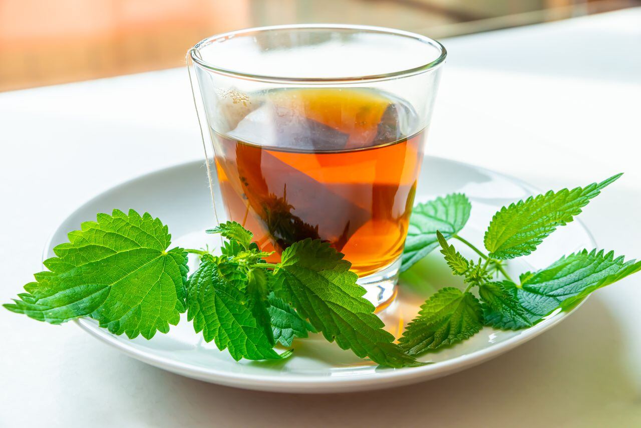 Té de Ortiga para la Próstata