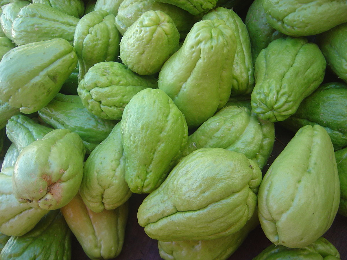 Chayote: Un Tesoro Nutricional con 40 Beneficios para la Salud