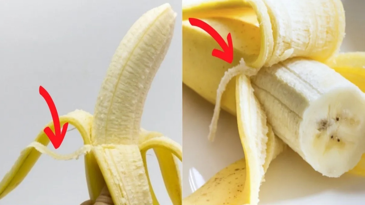 Secretos Ocultos y Beneficios de las Fibras Blancas del Plátano