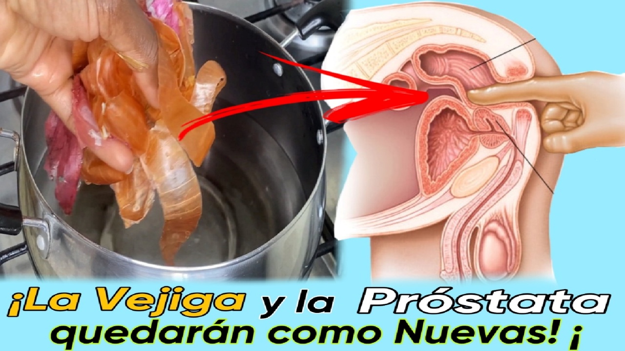 Próstata