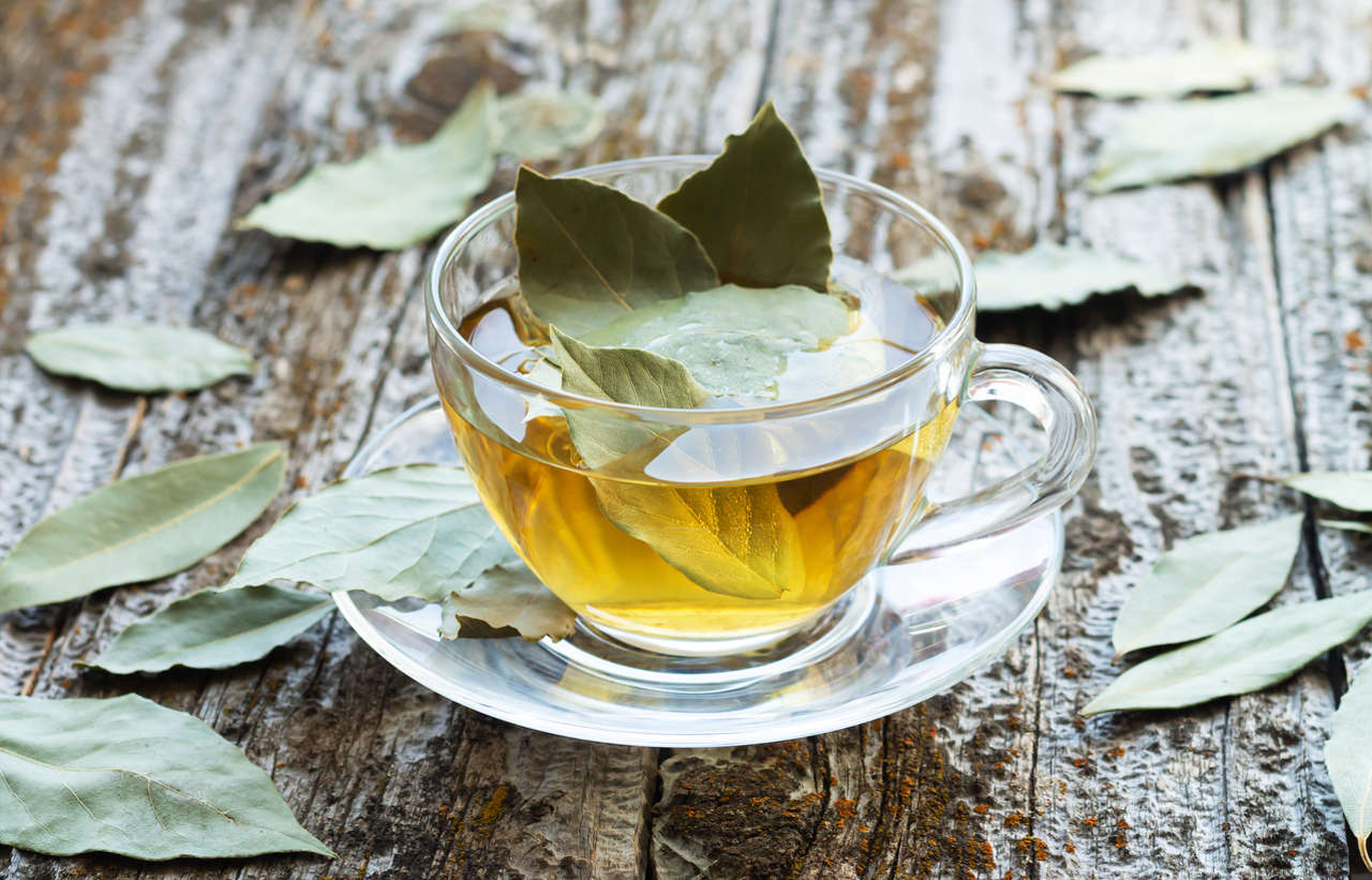 Hojas de Laurel: Un Tesoro Natural
