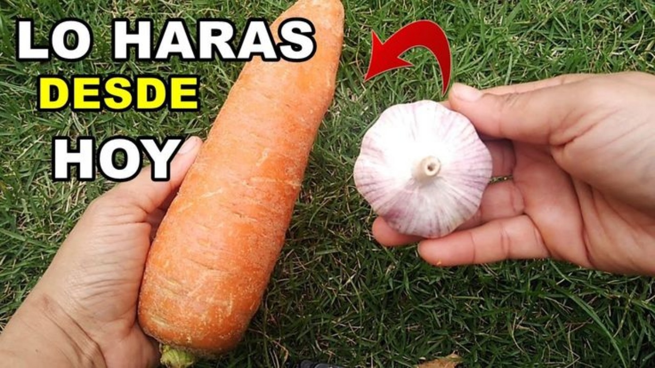 Jugo de Zanahoria y Ajo: Una Poderosa Receta para Reducir la Panza y Eliminar Parásitos