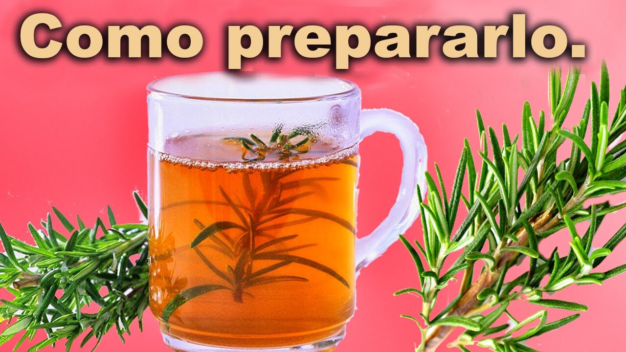 Diez Razones para Consumir Romero Todos los Días y Cómo Preparar su Té