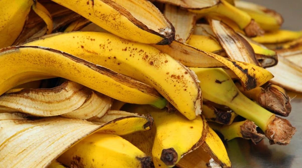 Los Maravillosos Beneficios de la Cáscara de Plátano y Cómo Aprovecharlos al Máximo
