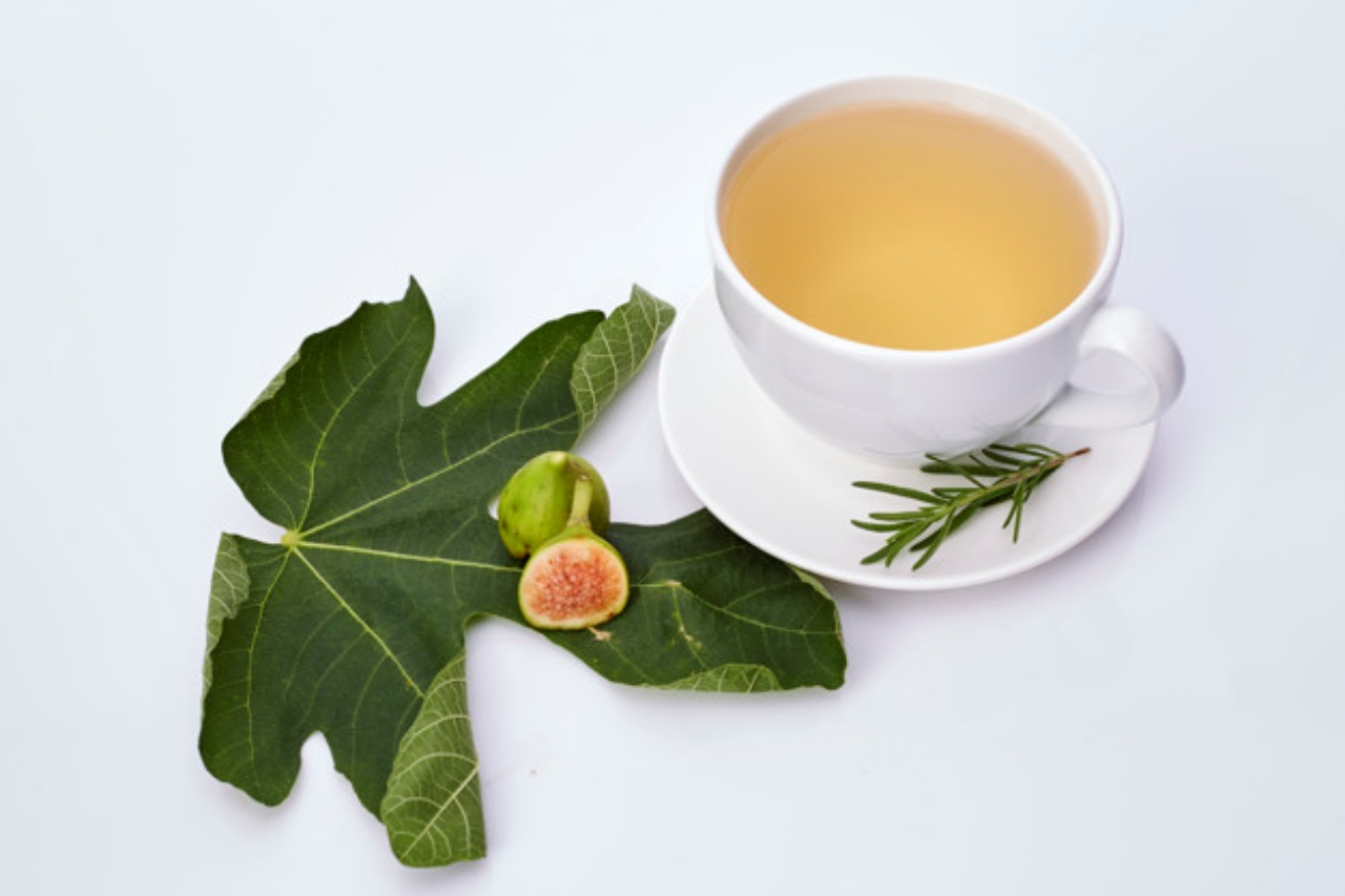 Té de Hojas de Higo: Una Maravillosa Infusión llena de Beneficios para la Salud