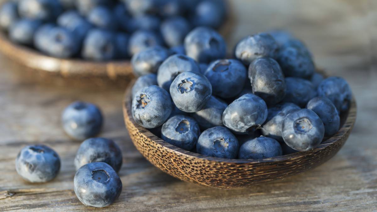 El Poder Curativo de los Arándanos: Beneficios para la Salud y Recetas Sabrosas