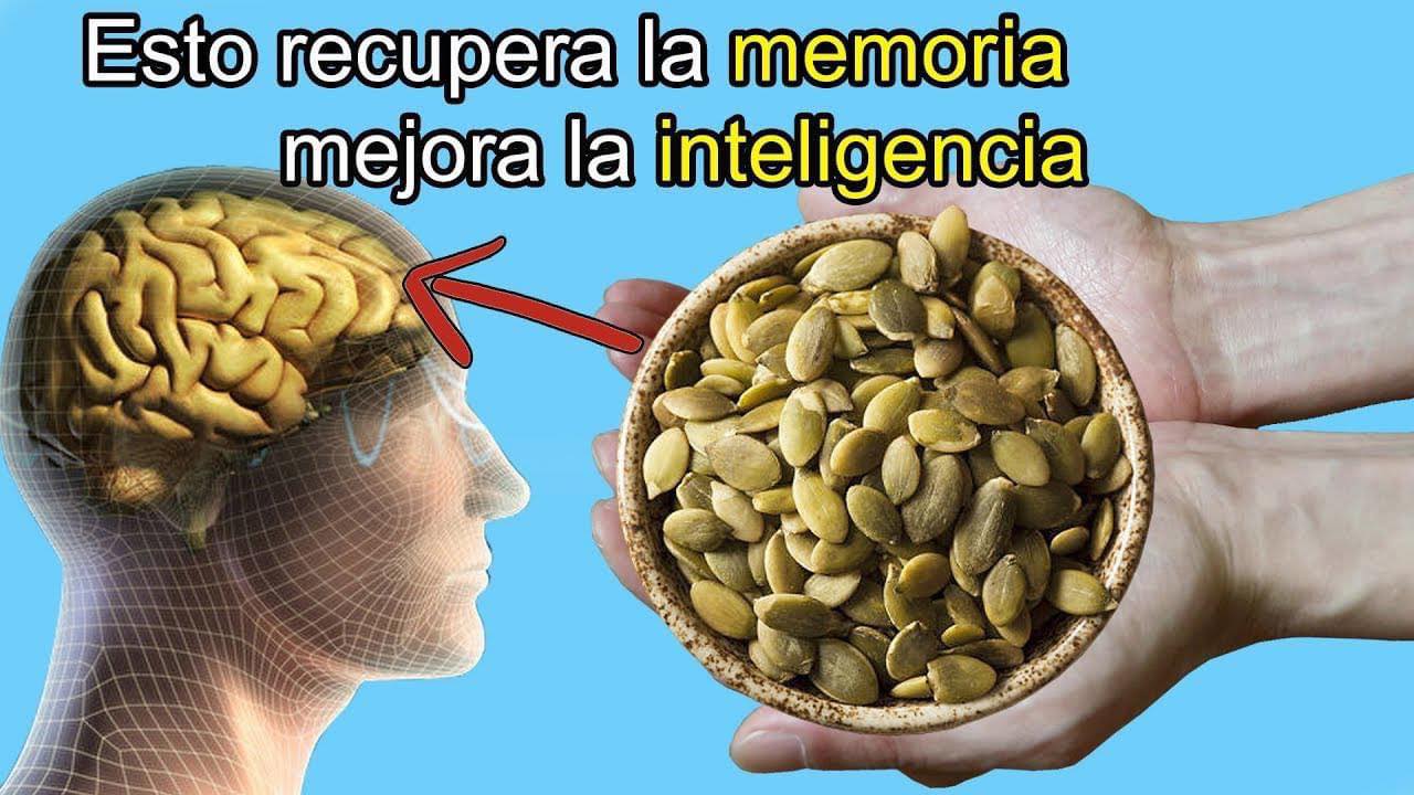 Memoria