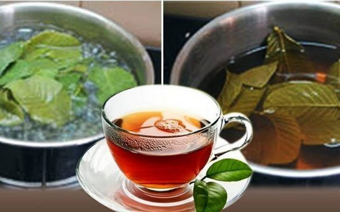 Té de Hojas de Guayaba para Fortalecer los Cartílagos y Aliviar las Rodillas Inflamadas