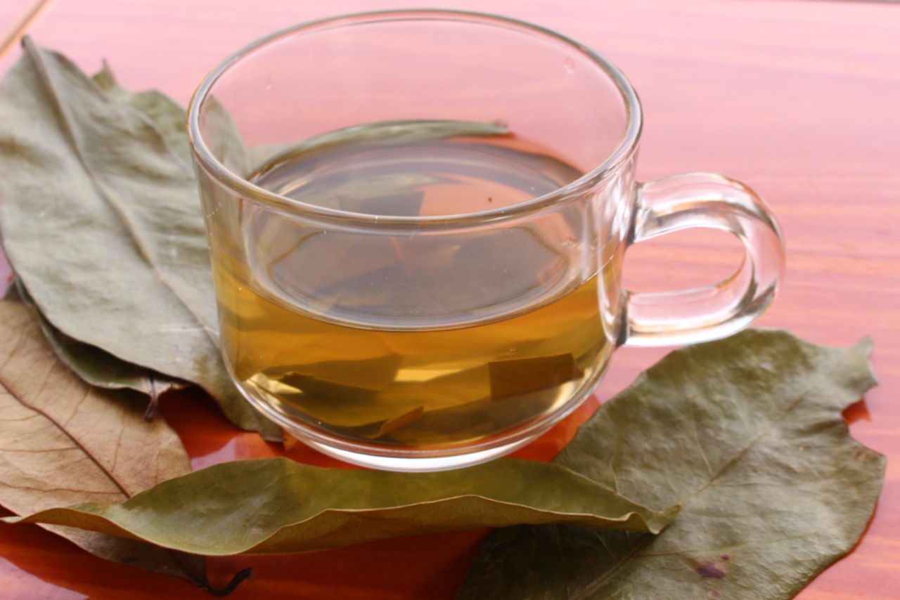 El Poder Nutritivo del Té de Hojas de Guanábana