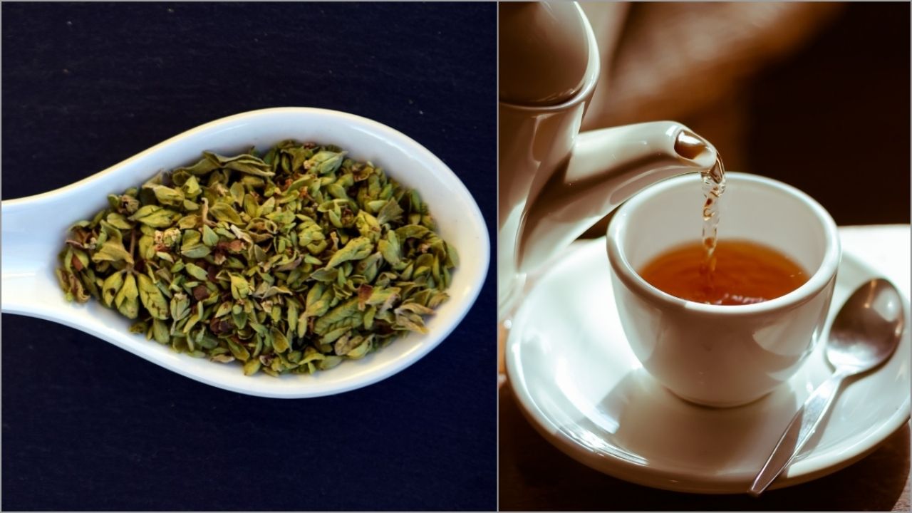 Té de Orégano para la Tos y sus 20 Beneficios para la Salud Respiratoria