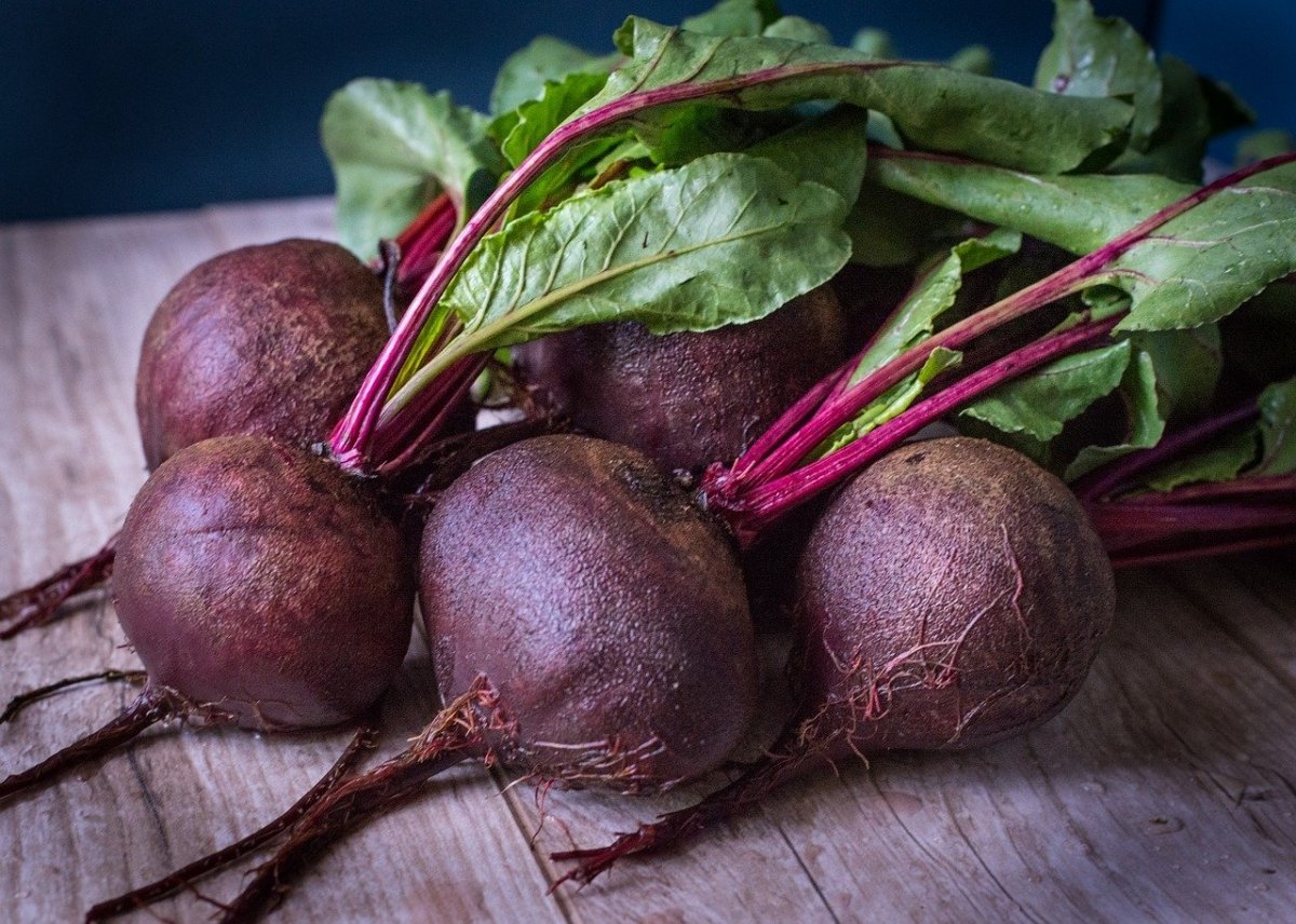 Remolacha para Quistes, Miomas y Fibromas: Beneficios y Recetas
