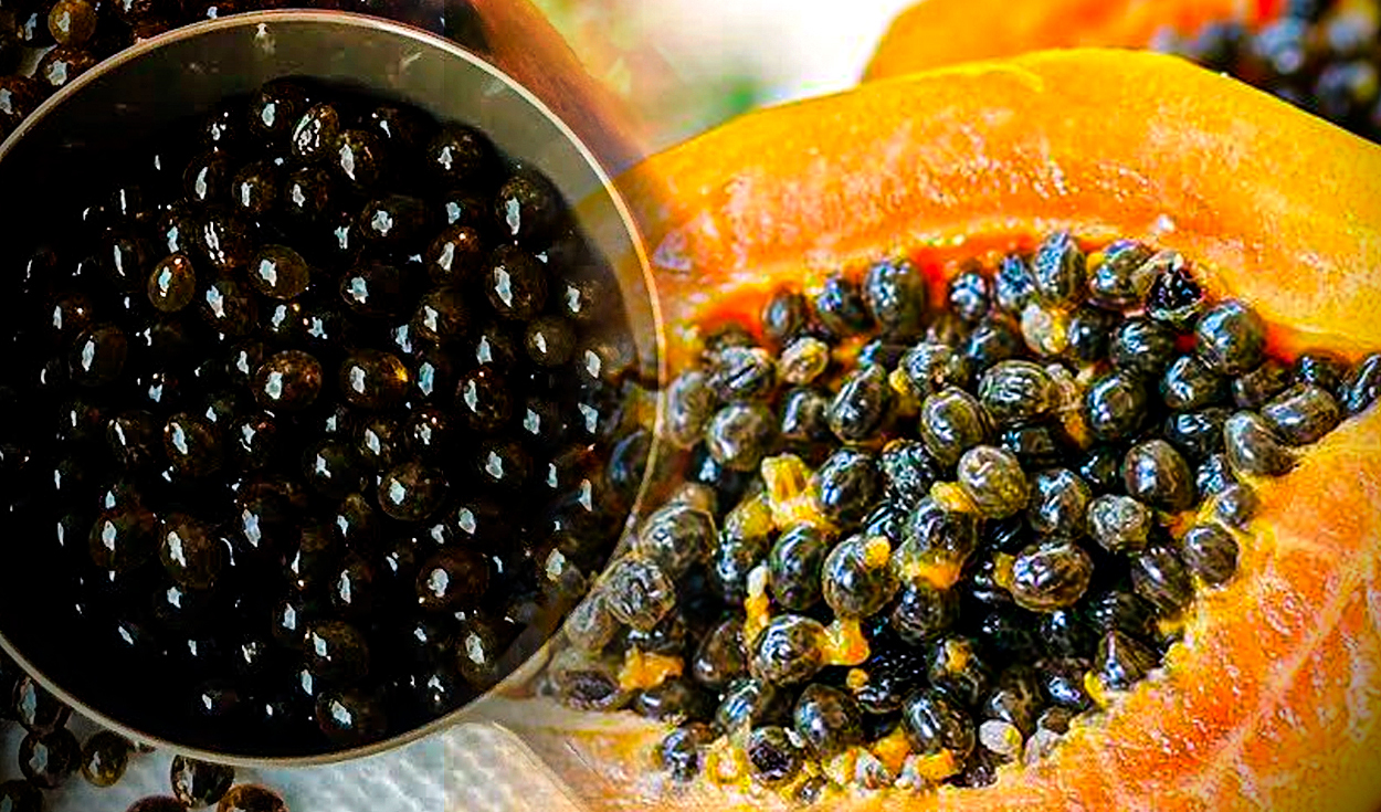 Papaya