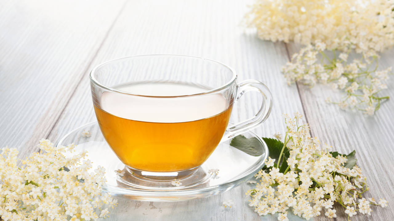 El Poder de las Hierbas: Recetas y Beneficios para la Salud
