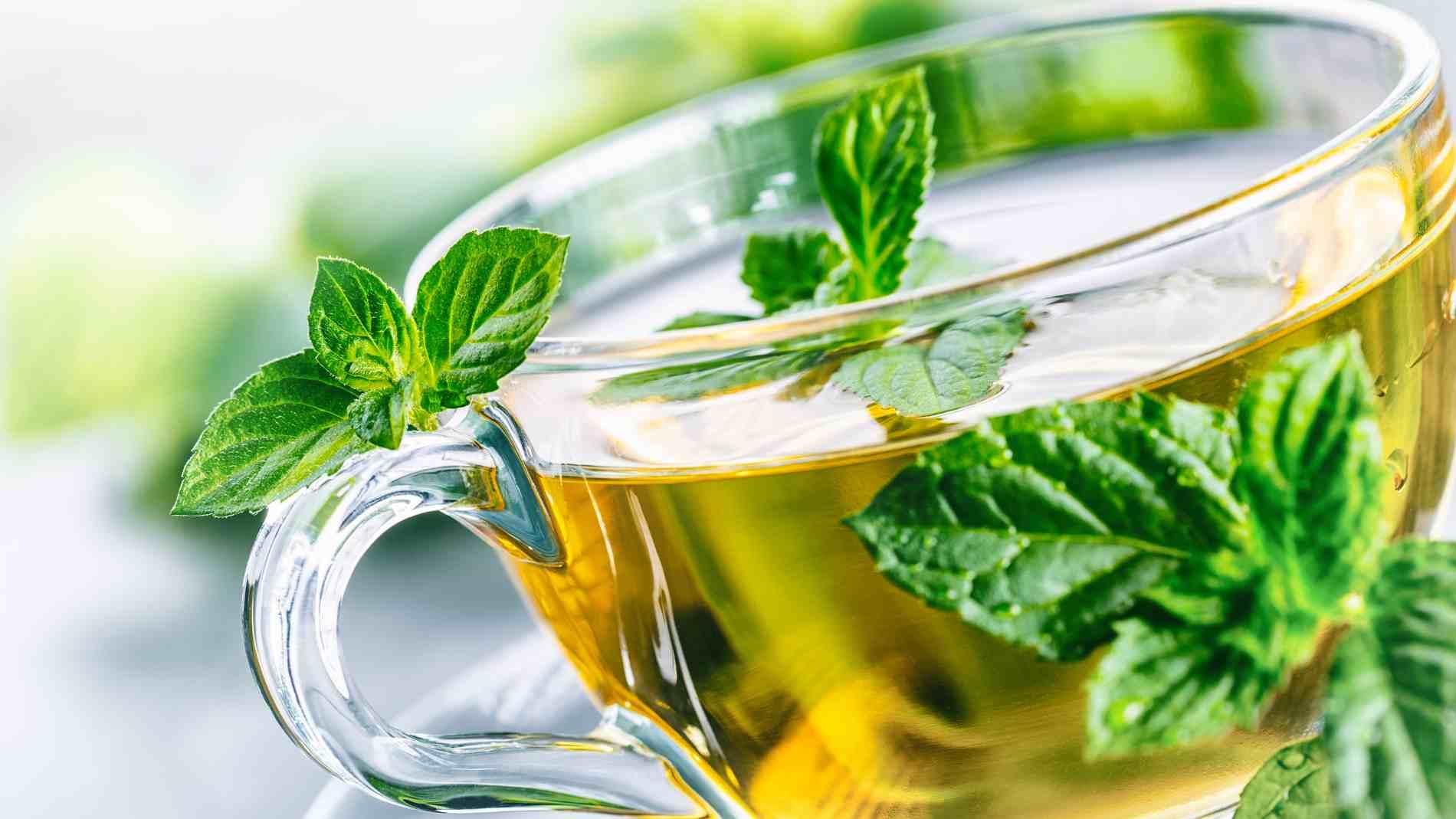Los Beneficios de Beber Té de Menta Regularmente