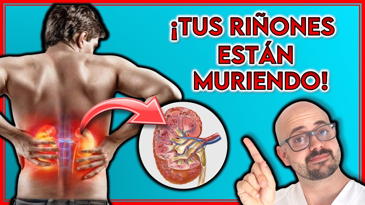 Síntomas de que tus Riñones no están Funcionando Bien y Cómo Revertirlo