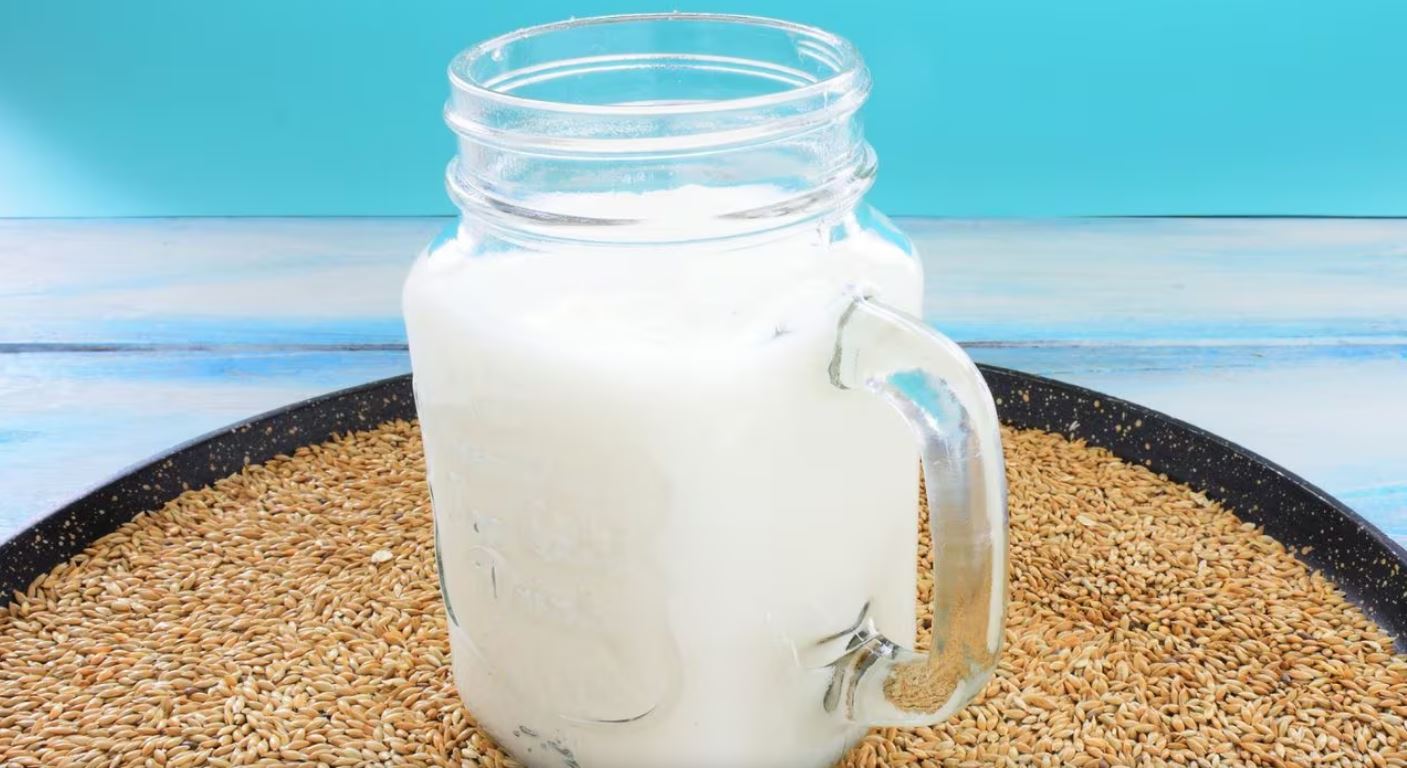 La Leche de Alpiste: Un Tesoro Nutricional con Receta Detallada y 30 Beneficios para la Salud