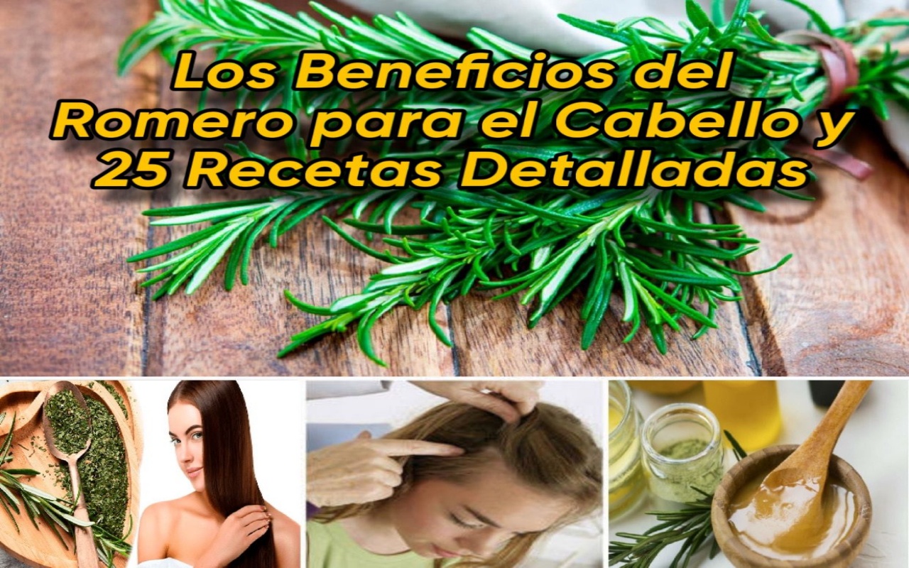 Los Beneficios del Romero para el Cabello y 25 Recetas Detalladas