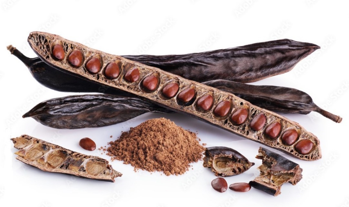 15 Beneficios del Algarrobo y Cómo Usarlo