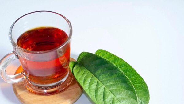 30 beneficios y 20 propiedades del té de hojas de guayaba que no conocías