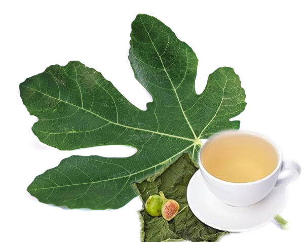 Té de hojas de higo para controlar el azúcar en sangre: receta y beneficios