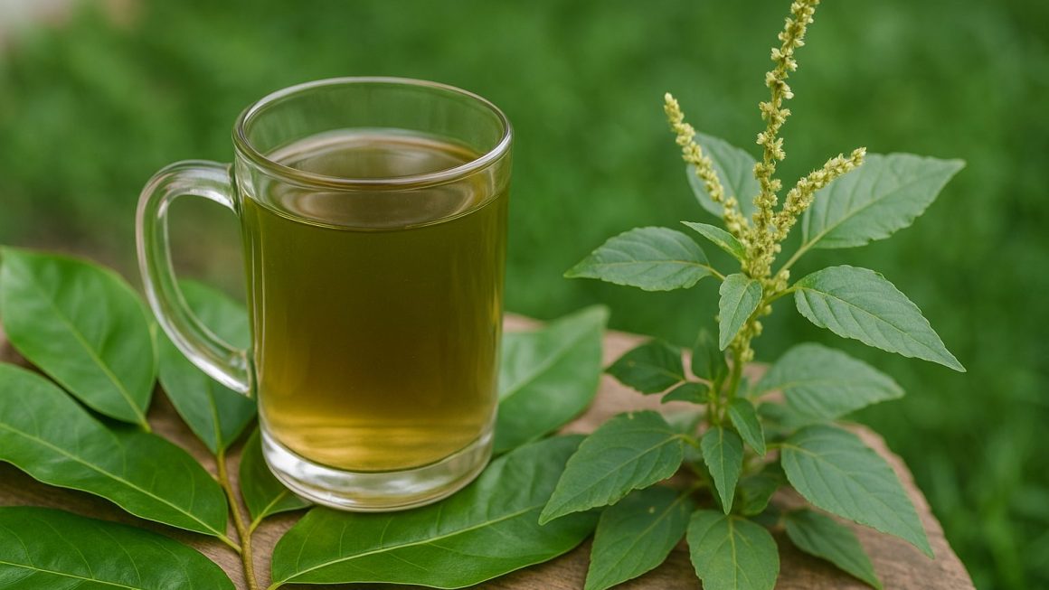 té para la próstata