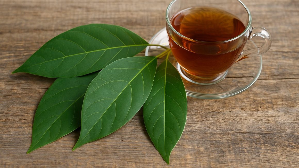 hoja de aguacate