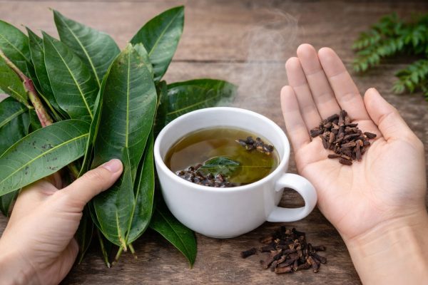Té de hojas de mango con clavos de olor: el remedio natural que muchos están usando